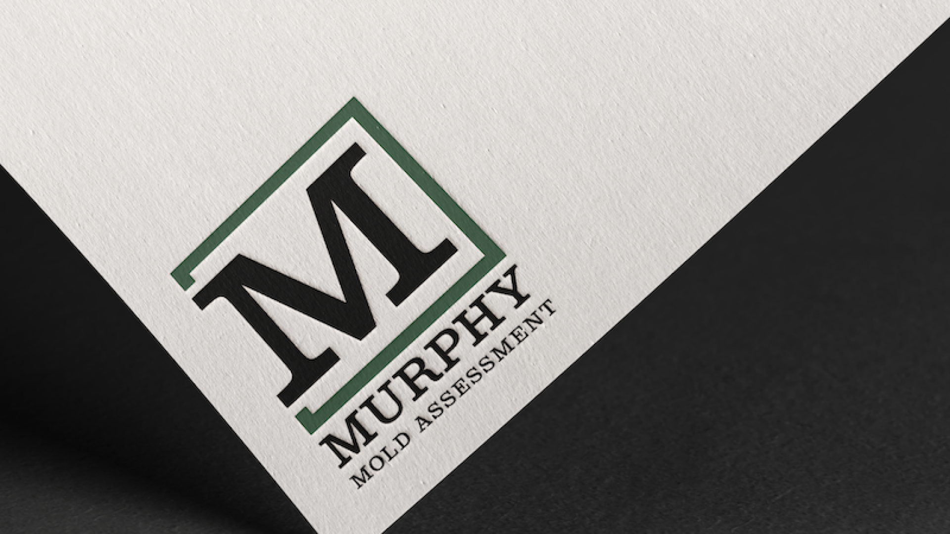 Murphy Mold Assessment